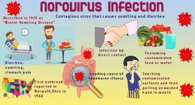 Norovirus Symptoms