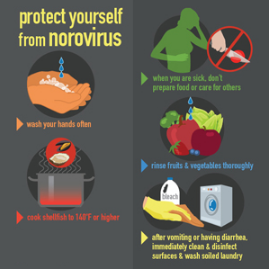 Norovirus Treatment At Home