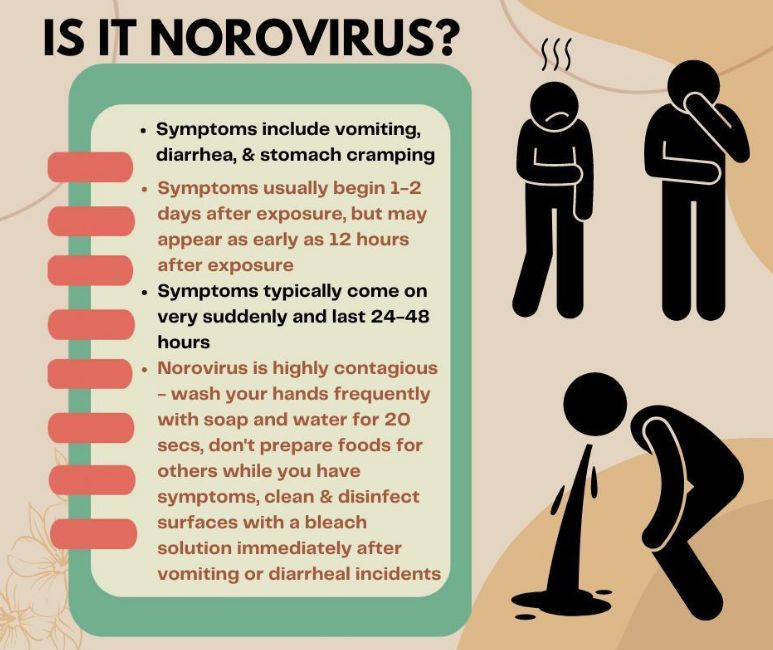 What Is Norovirus 2024