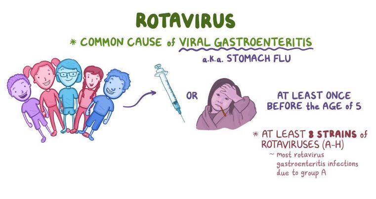 What is Rotavirus