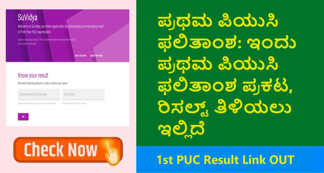 Karnataka 1st PUC Result 2024 check online at result.dkpucpa.com